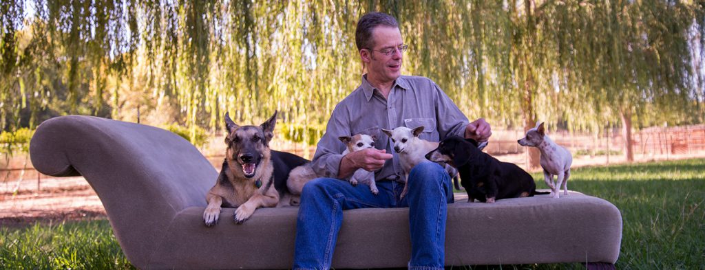 Pet behavior articles