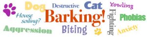 Dog Cat Biting Fighting Aggression Barking Yowling House soiling Destructive Anxiety Phobias