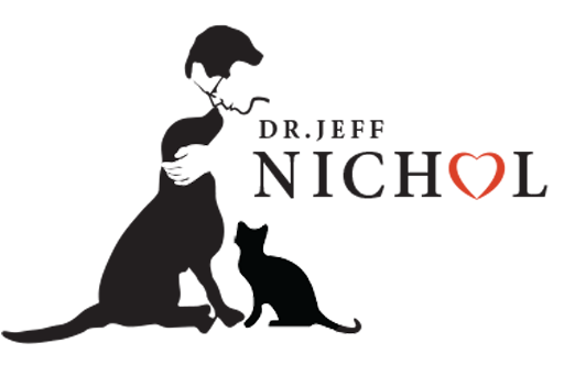 dr jeff nichol logo