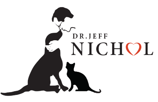 dr jeff nichol logo