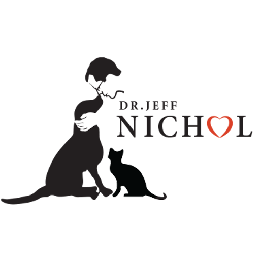Dr. Jeff Nichol logo